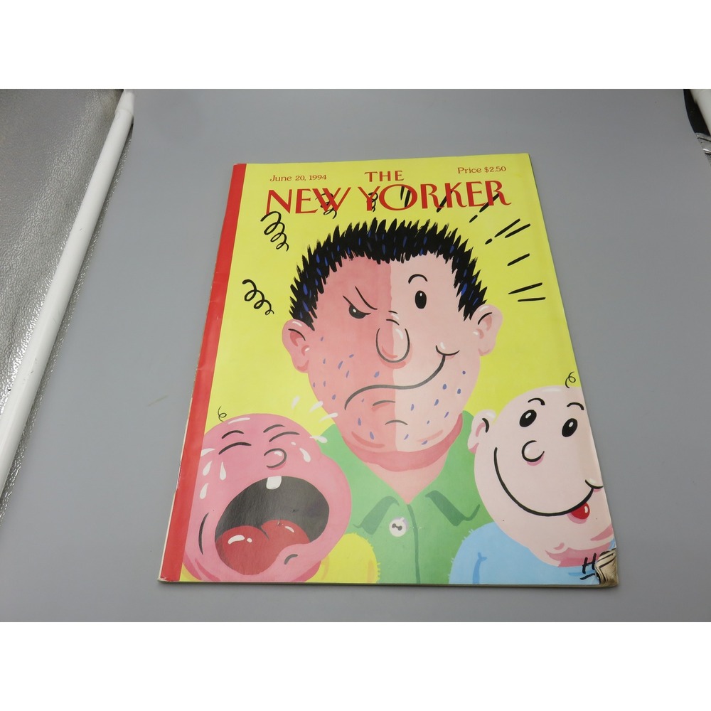 The New Yorker Magazine June 20 1994 Harry Bliss Cover Vintage Advertising